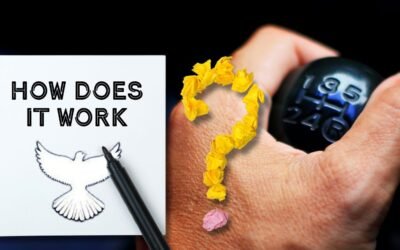 How Long Does It Take to Learn Manual Car? 6 Signs to Review